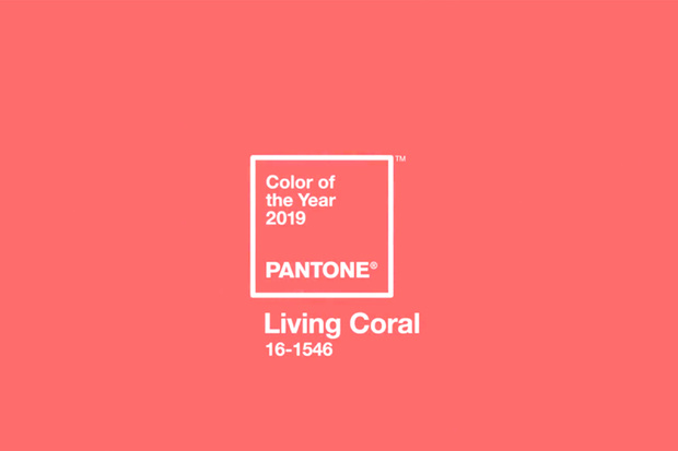 Pantone Living Coral: color de l'any 2019